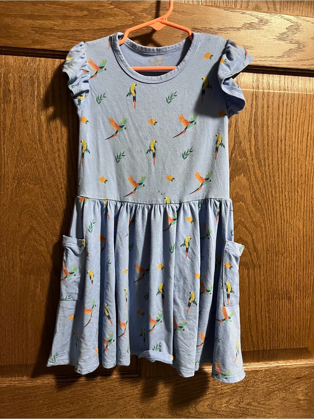Kyte BABY Light Blue Parrot Print Pocket Dress